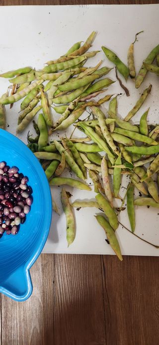 홍새싹님의 자유주제 · 자유게시판 작성글 사진