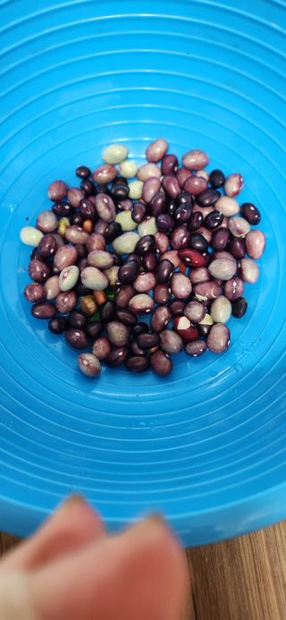 홍새싹님의 자유주제 · 자유게시판 작성글 사진