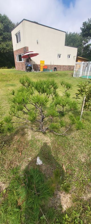 최상희님의 11월 농사 계획 공유하기 · 참여글 작성글 사진