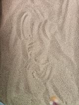 팜모닝 들깨·영농일지 게시글 이미지