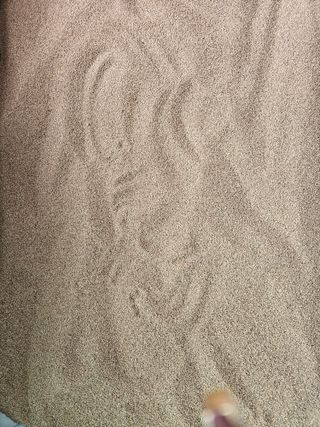 송인자님의 들깨 · 영농일지 작성글 사진