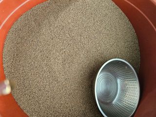 송인자님의 들깨 · 영농일지 작성글 사진