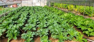 박영준님의 자유주제 · 자유게시판 작성글 사진