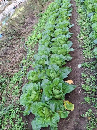 수기님의 자유주제 · 자유게시판 작성글 사진