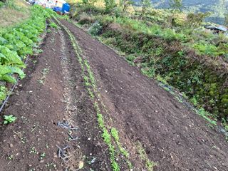 수기님의 자유주제 · 자유게시판 작성글 사진