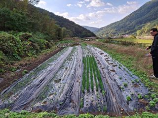 수기님의 자유주제 · 자유게시판 작성글 사진