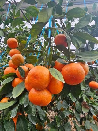 양애숙님의 자유주제 · 자유게시판 작성글 사진