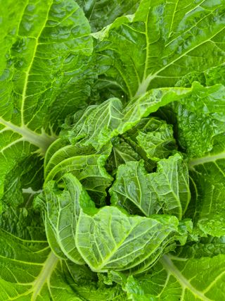 김상진님의 요즘 즐겨보는 TV 프로그램을 알려주세요 · 참여글 작성글 사진