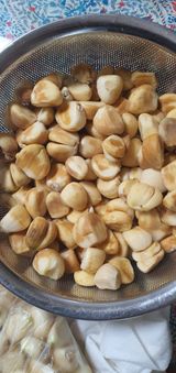 팜모닝 마늘·병해충상담 게시글 이미지