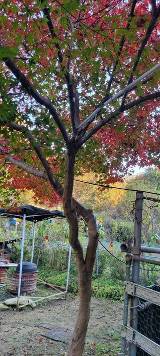 달방구님의 자유주제 · 자유게시판 작성글 사진