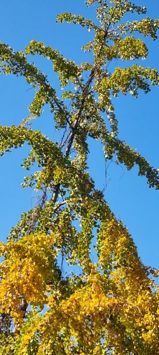 달방구님의 자유주제 · 자유게시판 작성글 사진