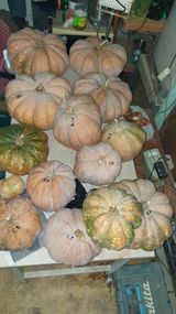 팜모닝 자유주제·자유게시판 게시글 이미지