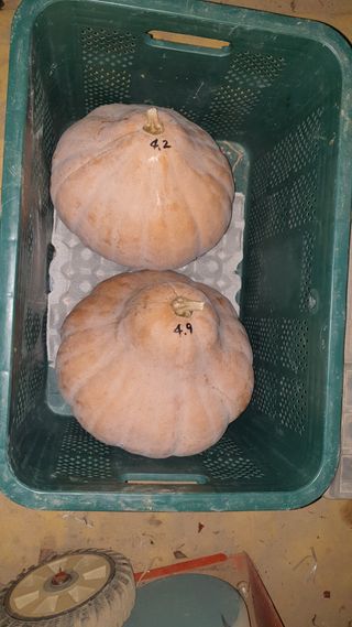 할배맥가이버님의 자유주제 · 자유게시판 작성글 사진