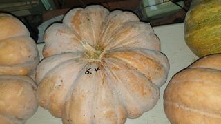 할배맥가이버님의 자유주제 · 자유게시판 작성글 사진