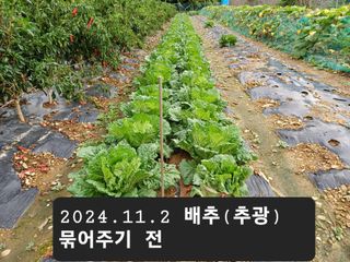 박성민님의 11월 농사 계획 공유하기 · 참여글 작성글 사진