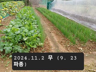 박성민님의 11월 농사 계획 공유하기 · 참여글 작성글 사진