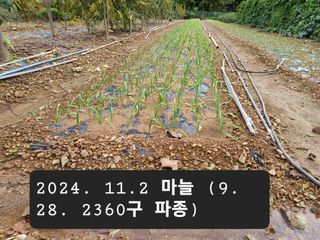 박성민님의 11월 농사 계획 공유하기 · 참여글 작성글 사진