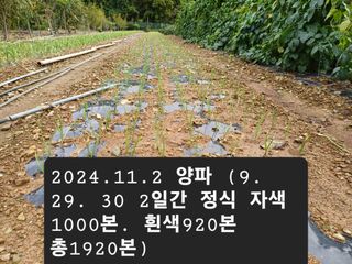 박성민님의 11월 농사 계획 공유하기 · 참여글 작성글 사진