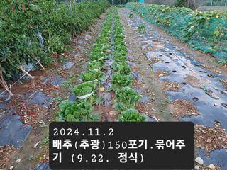 박성민님의 11월 농사 계획 공유하기 · 참여글 작성글 사진