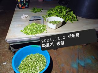 박성민님의 11월 농사 계획 공유하기 · 참여글 작성글 사진