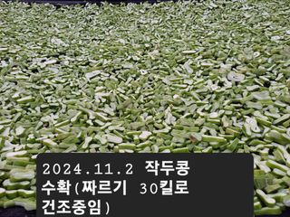 박성민님의 11월 농사 계획 공유하기 · 참여글 작성글 사진