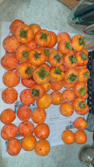 할배맥가이버님의 자유주제 · 자유게시판 작성글 사진