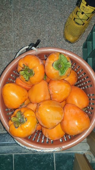 할배맥가이버님의 자유주제 · 자유게시판 작성글 사진