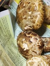 팜모닝 자유주제·자유게시판 게시글 이미지