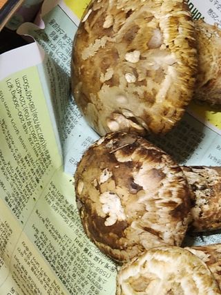 오동균님의 자유주제 · 자유게시판 작성글 사진