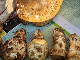 오동균님의 자유주제 · 자유게시판 작성글 사진