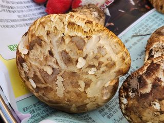 오동균님의 자유주제 · 자유게시판 작성글 사진