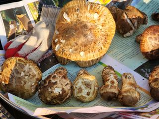 오동균님의 자유주제 · 자유게시판 작성글 사진