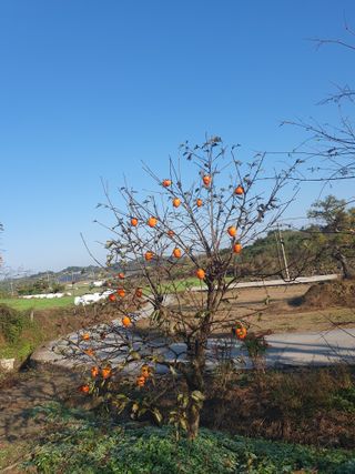 알 수 없음님의 자유주제 · 자유게시판 작성글 사진