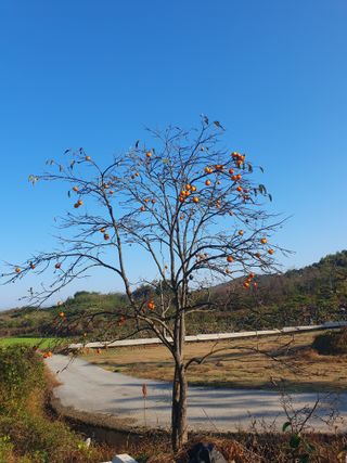 알 수 없음님의 자유주제 · 자유게시판 작성글 사진