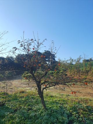 알 수 없음님의 자유주제 · 자유게시판 작성글 사진