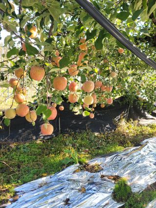 김재현님의 자유주제 · 사진전 작성글 사진