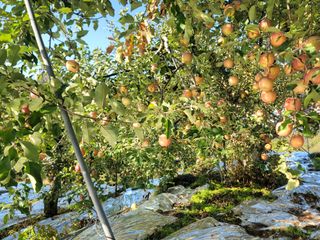 김재현님의 자유주제 · 사진전 작성글 사진