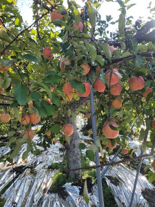 김재현님의 자유주제 · 사진전 작성글 사진