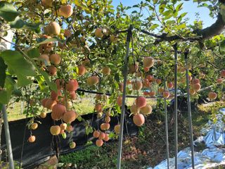 김재현님의 자유주제 · 사진전 작성글 사진