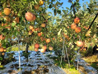김재현님의 자유주제 · 사진전 작성글 사진