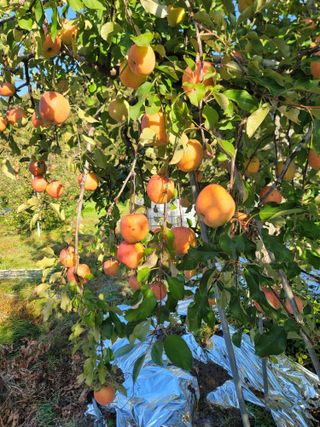 김재현님의 자유주제 · 사진전 작성글 사진