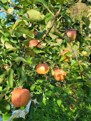 김재현님의 자유주제 · 사진전 작성글 사진
