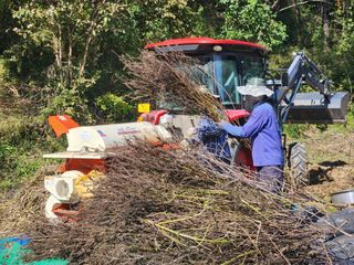 성실한농장님의 11월 농사 계획 공유하기 · 참여글 작성글 사진