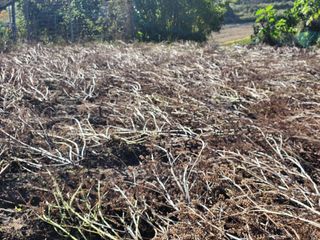 성실한농장님의 11월 농사 계획 공유하기 · 참여글 작성글 사진