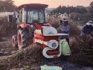 성실한농장님의 11월 농사 계획 공유하기 · 참여글 작성글 사진
