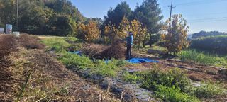 김정은님의 들깨 · 영농일지 작성글 사진