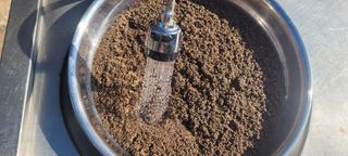 김정은님의 들깨 · 영농일지 작성글 사진