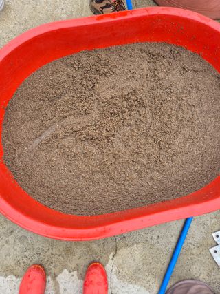 김연숙님의 자유주제 · 자유게시판 작성글 사진