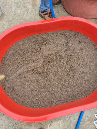 김연숙님의 자유주제 · 자유게시판 작성글 사진