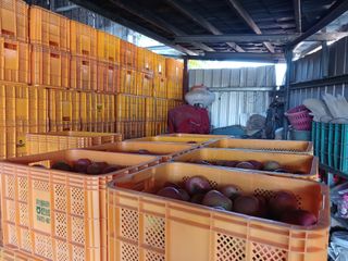 알 수 없음님의 자유주제 · 자유게시판 작성글 사진